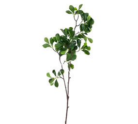 Colmore - Kunstbloem Groene Bladeren op Tak 97cm Colmore - Kunstbloem Groene Bladeren op Tak 97cm