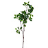 Kunstbloem Groene Bladeren op Tak 97cm Kunstbloem Groene Bladeren op Tak 97cm