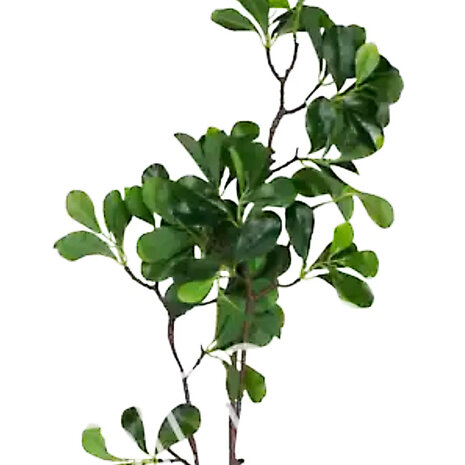 Colmore - Kunstbloem Groene Bladeren op Tak 97cm Colmore - Kunstbloem Groene Bladeren op Tak 97cm