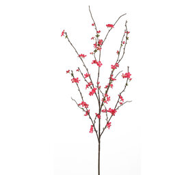 Melting Pot - Kunstbloem Sakura Bloesem Roze op Tak 120cm Melting Pot - Kunstbloem Sakura Bloesem Roze op Tak 120cm