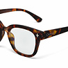 Okkia - Leesbril GIOVANNI Classic Havana OK017CH Okkia - Leesbril GIOVANNI Classic Havana OK017CH
