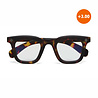 Okkia - Leesbril FIRENZE Square Classic Havana OK058CH Okkia - Leesbril FIRENZE Square Classic Havana OK058CH