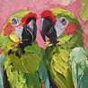 Werns - Schilderij Twee Papegaaien Multicolor Acryl op Canvas 44x54cm in Gouden Baroklijst