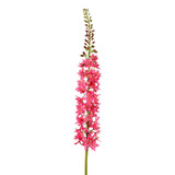 Melting Pot - Kunstbloem Eremurus Roze op Steel 94cm Melting Pot - Kunstbloem Eremurus Roze op Steel 94cm