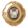 Blogo Design - Lijstje 3-D Bulldog Orlando Multicolor Goud 24x26cm Blogo Design - Lijstje 3-D Bulldog Orlando Multicolor Goud 24x26cm