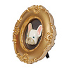 Blogo Design - Lijstje 3-D Bulldog Orlando Multicolor Goud 24x26cm Blogo Design - Lijstje 3-D Bulldog Orlando Multicolor Goud 24x26cm