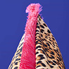 Werns - Sierkussen Jungle Love Panter Fluweel 45x45cm fuchsia franjes Werns - Sierkussen Jungle Love Panter Fluweel 45x45cm fuchsia franjes