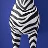 Werns - Vloer Lamp Zebra Zora Zwart-Wit 47x153cm met lampenkap Werns - Vloer Lamp Zebra Zora Zwart-Wit 47x153cm met lampenkap