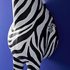 Werns - Vloer Lamp Zebra Zora Zwart-Wit 47x153cm met lampenkap Werns - Vloer Lamp Zebra Zora Zwart-Wit 47x153cm met lampenkap