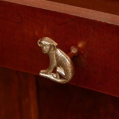 Doing Goods - Ladeknop Peppin Monkey Messing 5x5cm rechts