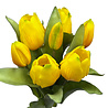 Melting Pot - Kunstbloem Boeket - 7 Tulpen Geel 29cm