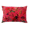 Imbarro - Sierkussen Royal Paradise Cerise met Paradijsvogels Velours 60x40cm Imbarro - Sierkussen Royal Paradise Cerise met Paradijsvogels Velours 60x40cm