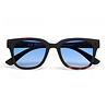 Okkia - Zonnebril GIOVANNI Black Havana met Blauwe Glazen OK012B3H-BL