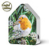 Vogelhuisje Roodborstje - Limited Edition