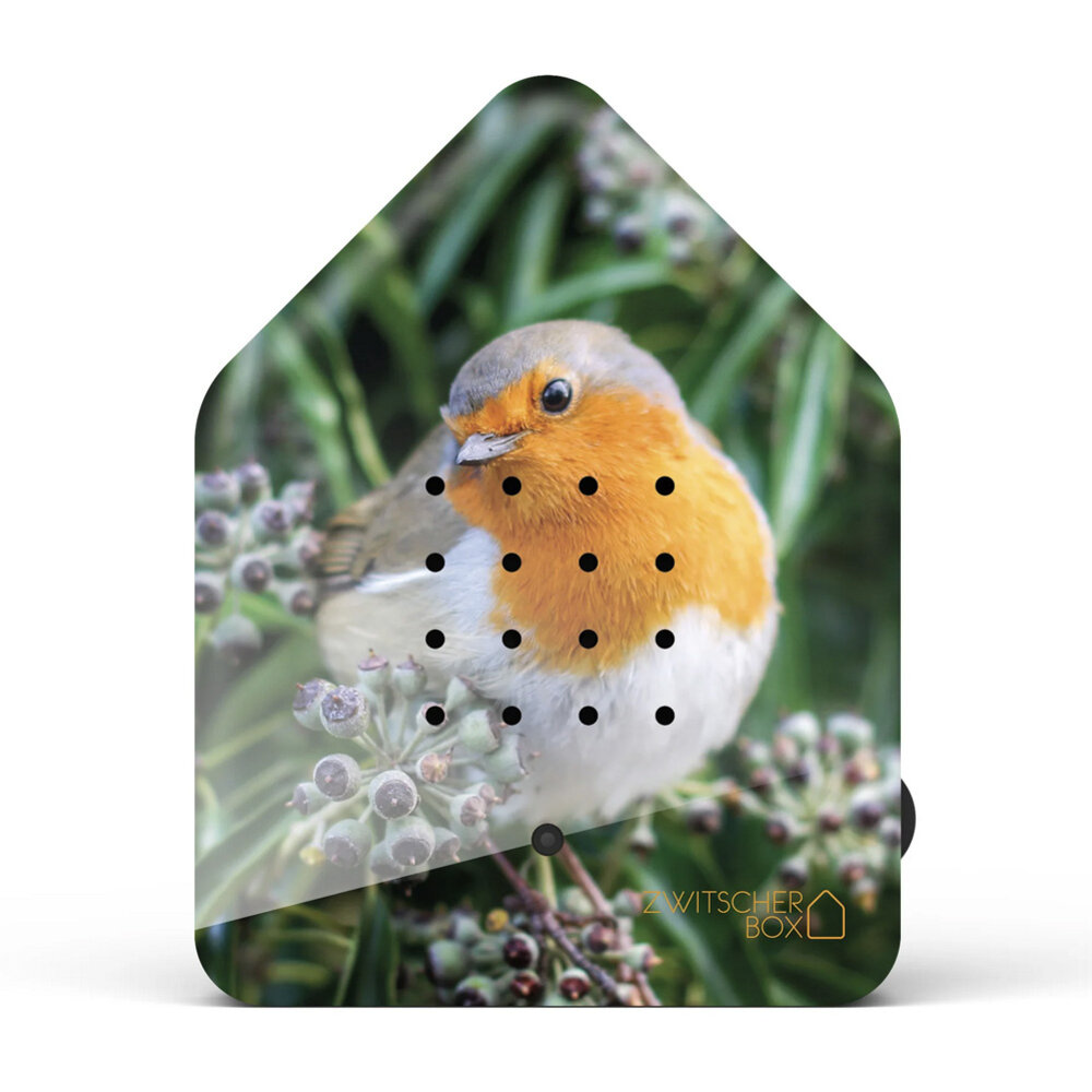 Zwitscherbox - Vogelhuisje met Bewegingssensor Roodborstje - Limited Edition