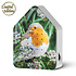 Vogelhuisje met Bewegingssensor Roodborstje - Limited Edition