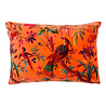 Imbarro - Sierkussen Royal Paradise Mandarine met Paradijsvogels Velours 60x40cm Imbarro - Sierkussen Royal Paradise Mandarine met Paradijsvogels Velours 60x40cm