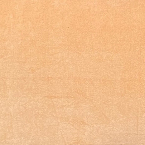 Melting Pot - Sierkussen Peach Velours 70x50cm met bies