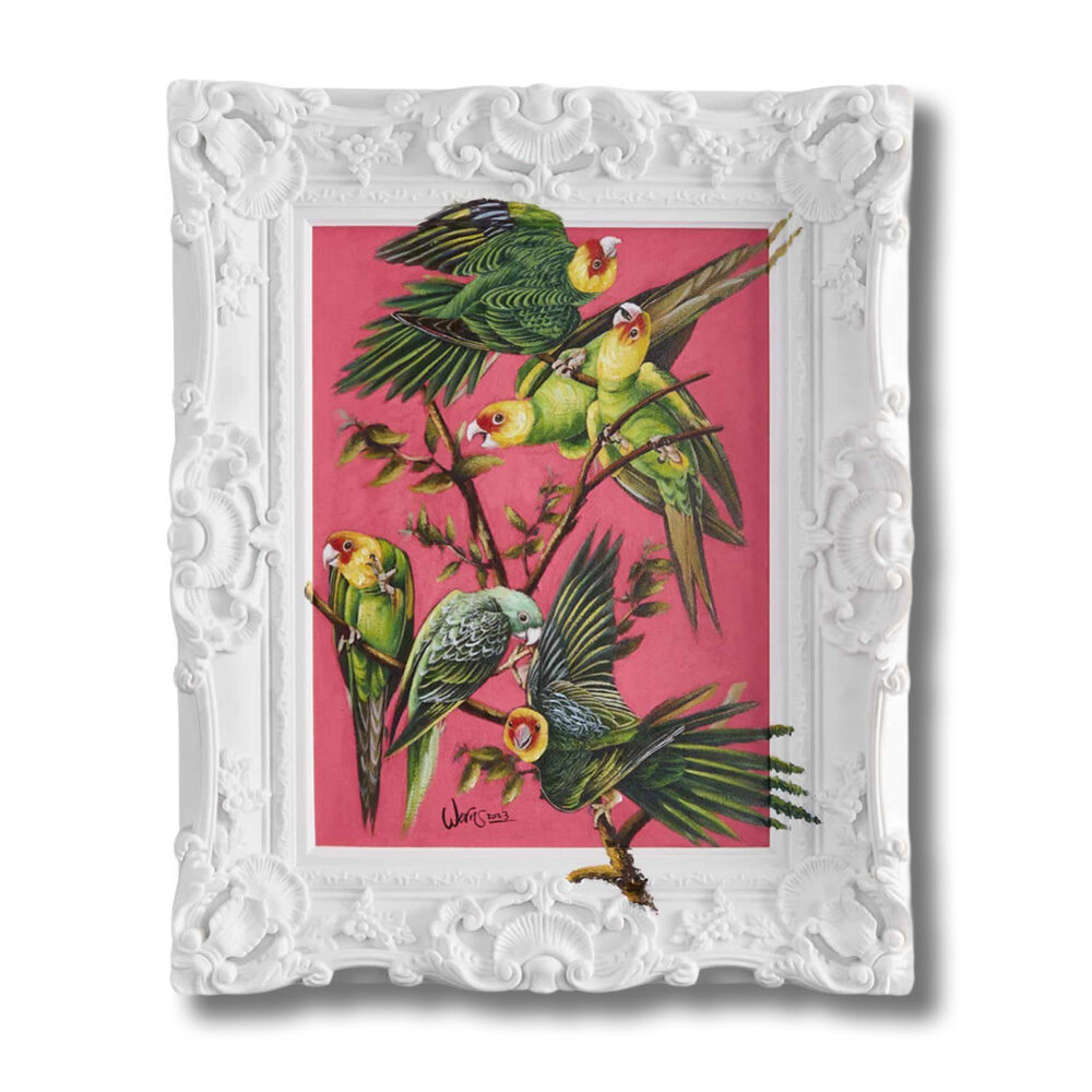 Werns - Schilderij Coco Acryl op Canvas 45x55cm in Sierlijst