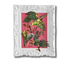 Werns - Schilderij Coco Acryl op Canvas 45x55cm in Sierlijst