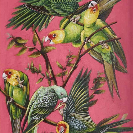 Werns - Schilderij Coco Papegaaien Multicolor Acryl op Paneel 45x55cm in Witte Sierlijst