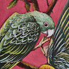 Werns - Schilderij Coco Papegaaien Multicolor Acryl op Paneel 45x55cm in Witte Sierlijst