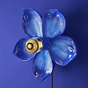 Werns - Wand Lamp Flower Blauw 31x33cm Werns - Wand Lamp Flower Blauw 31x33cm