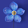 Werns - Wand Lamp Flower Blauw 31x33cm Werns - Wand Lamp Flower Blauw 31x33cm