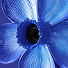 Werns - Wand Lamp Flower Blauw 31x33cm Werns - Wand Lamp Flower Blauw 31x33cm