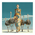 Schilderij Ostrich Queen Acryl op Canvas 100x100cm