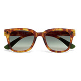 Okkia - Zonnebril GIOVANNI Havana-Green OK012SH-GR Okkia - Zonnebril GIOVANNI Havana-Green OK012SH-GR
