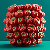 Werns - Vaas Tomaten Rood Groen Keramiek 34x33cm handgemaakt