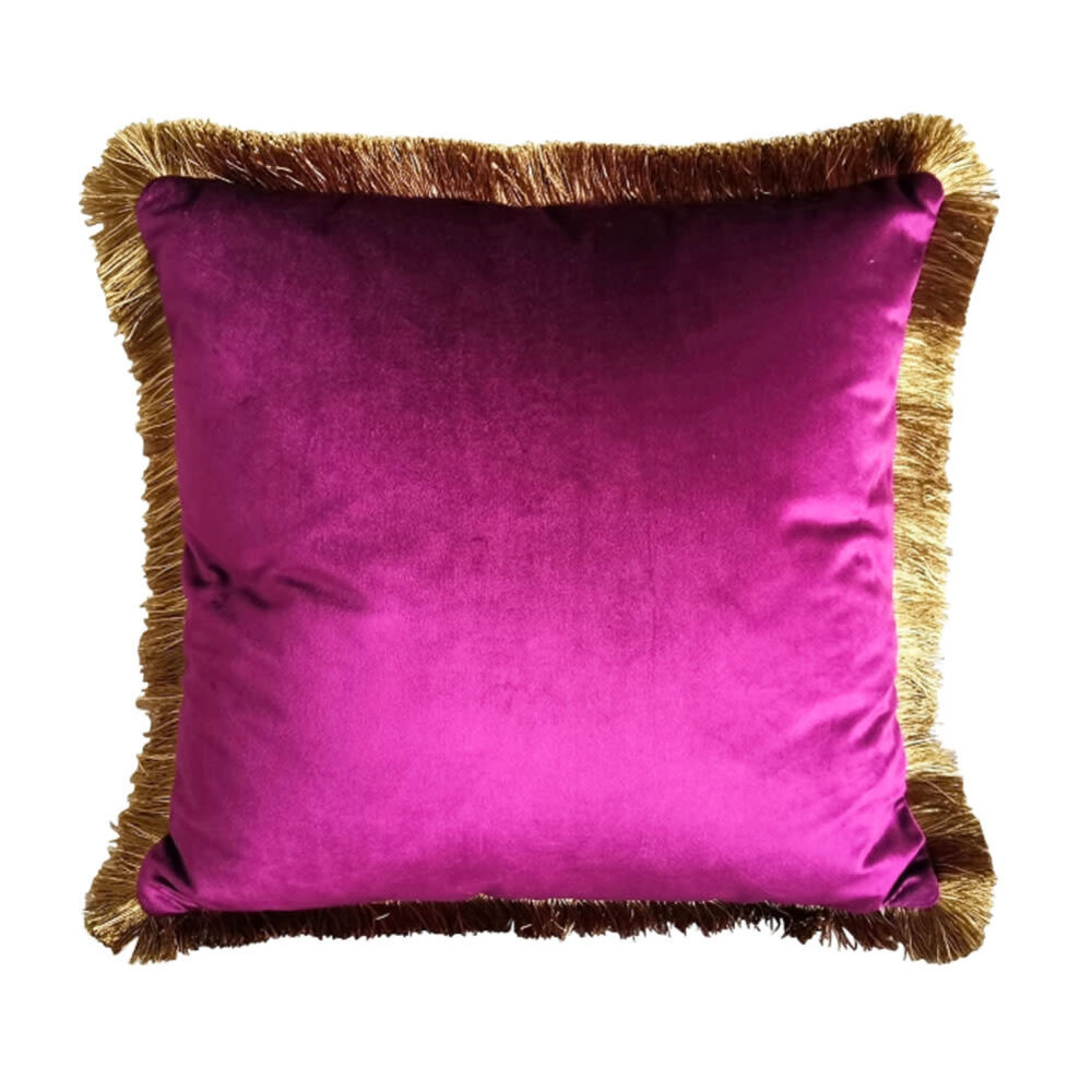 Werns - Sierkussen Paars Fluweel 45x45cm met Gouden Franjes en Binnenvulling Werns - Sierkussen Paars Fluweel 45x45cm met Gouden Franjes en Binnenvulling