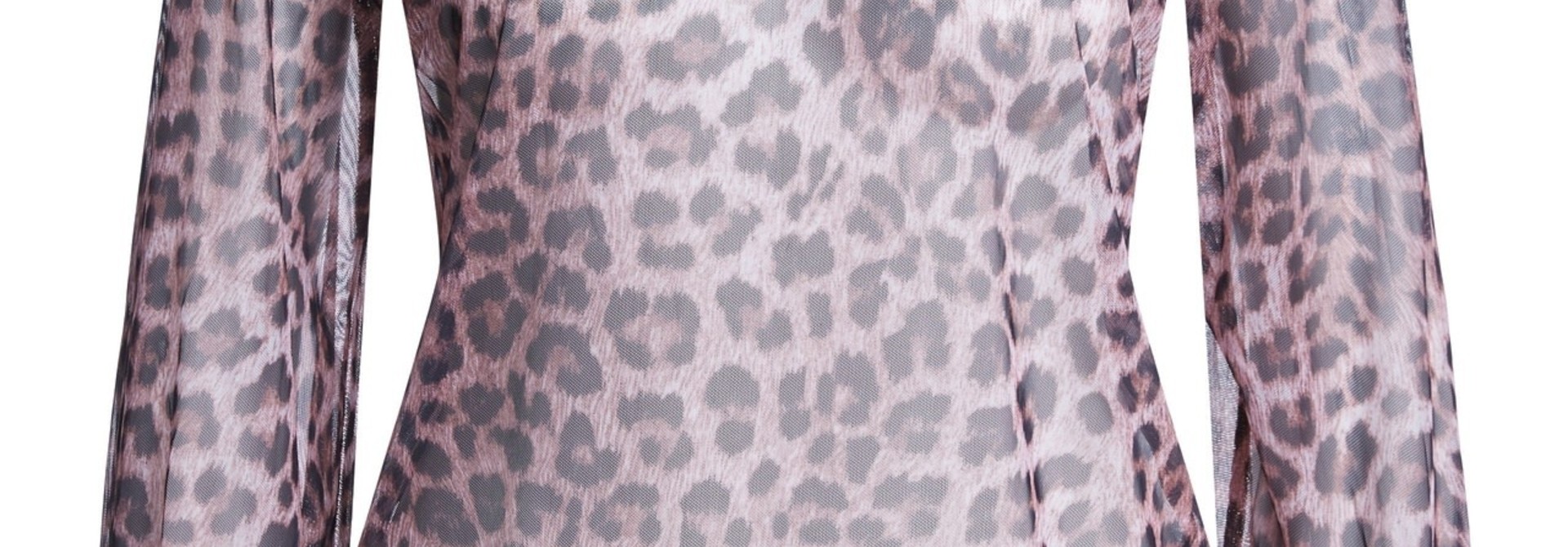 Top leopard