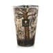 Baobab collections Trees Morondo Baobab collections Trees Morondo