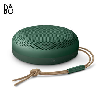 Bang & Olufsen Bang & Olufsen Beosound A1 2nd Gen Groen