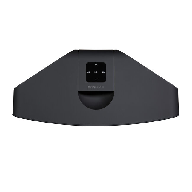 Bluesound Pulse 2i luidspreker