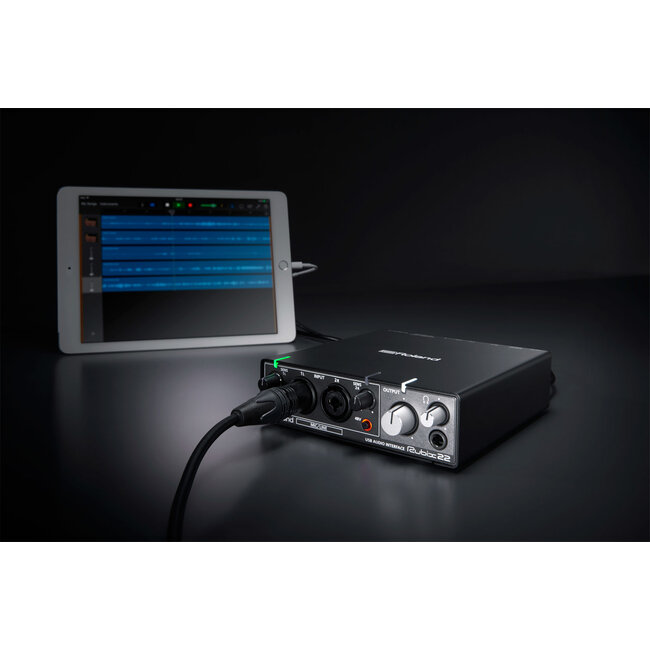 Roland Rubix22 USB Audio interface