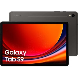 Samsung Galaxy Tab S9 WIFI 256Gb - Graphite
