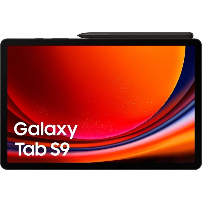 Samsung Galaxy Tab S9 WIFI 256Gb - Graphite