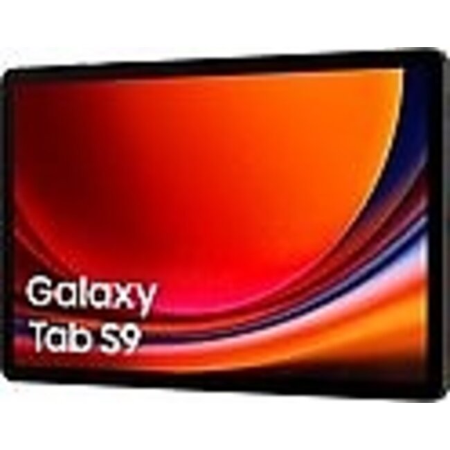 Samsung Galaxy Tab S9 WIFI 256Gb - Graphite