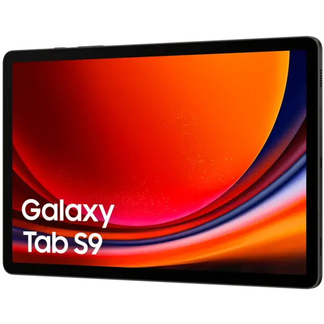 Samsung Galaxy Tab S9 5G 128Gb - Graphite
