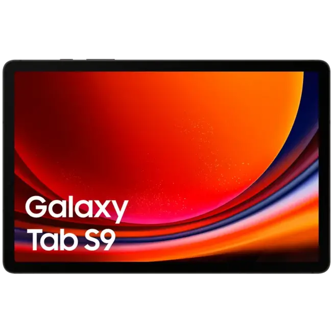 Samsung Galaxy Tab S9 5G 256Gb - Graphite