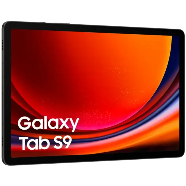 Samsung Galaxy Tab S9 5G 256Gb - Graphite