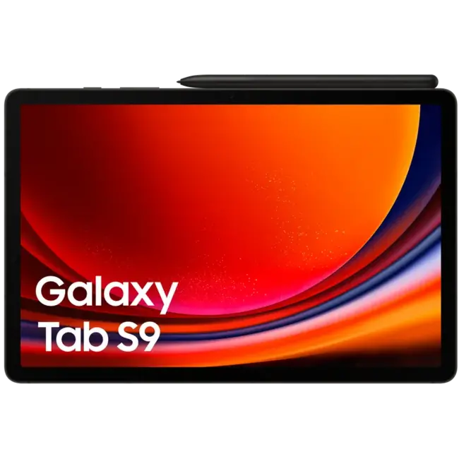 Samsung Galaxy Tab S9 5G 256Gb - Graphite