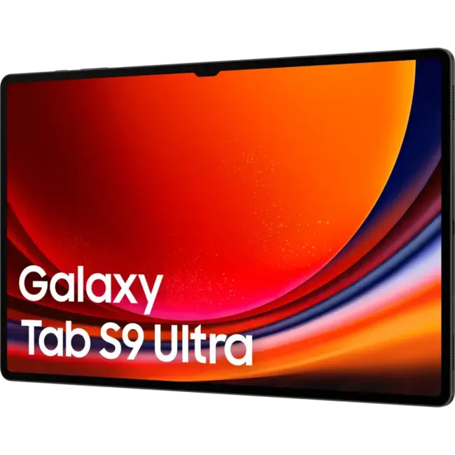 Samsung Galaxy Tab S9 Ultra 5G 256Gb - Graphite
