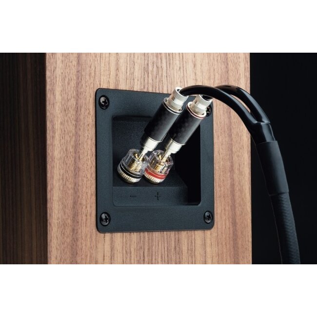 Pro-Ject Speaker Box 10 S2 Eucalyptus (per paar)