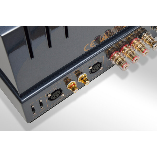 PrimaLuna EVO 300 tube preamplifier zwart