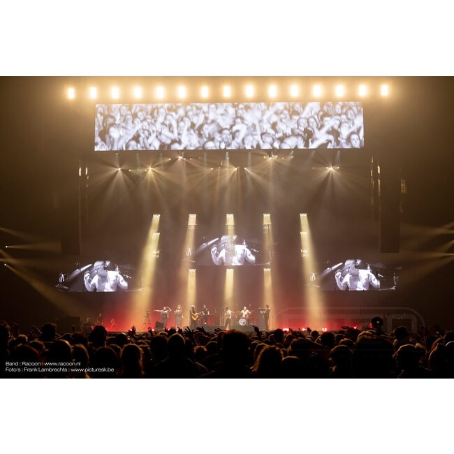 BRITEQ BT-NONABEAM - BQ1