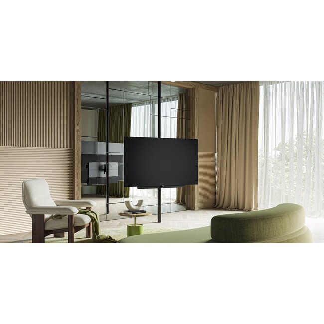 LOEWE Inspire 65 (incl. TS) 62466D50